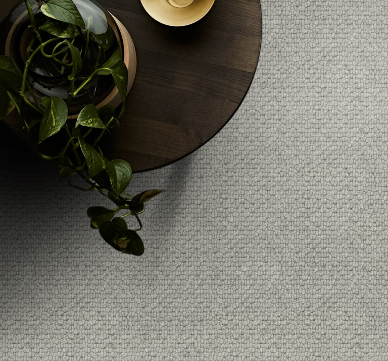 Salisbury carpet Queensland Flooring Centre Sunshine Coast